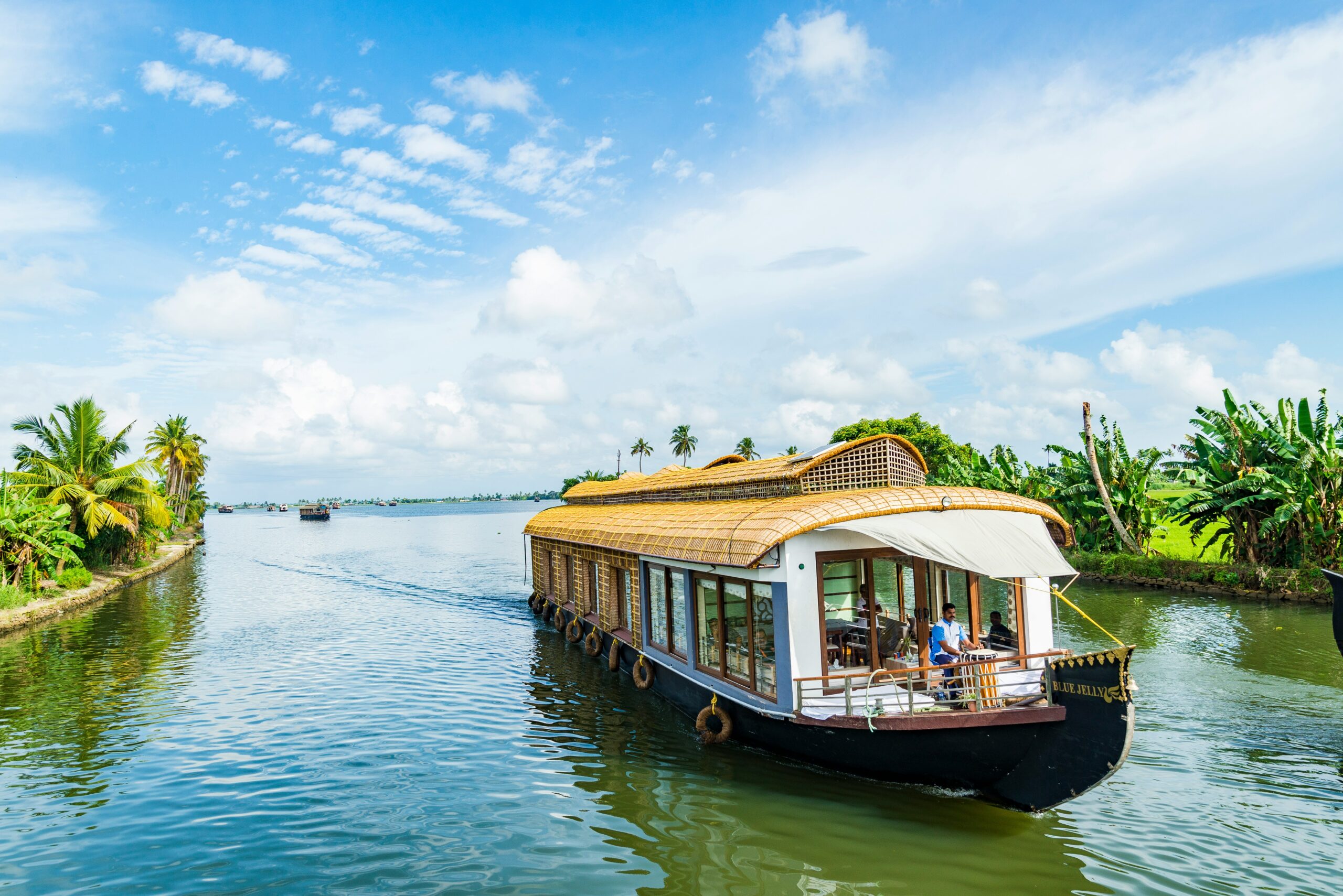 Alleppey backwaters houseboat