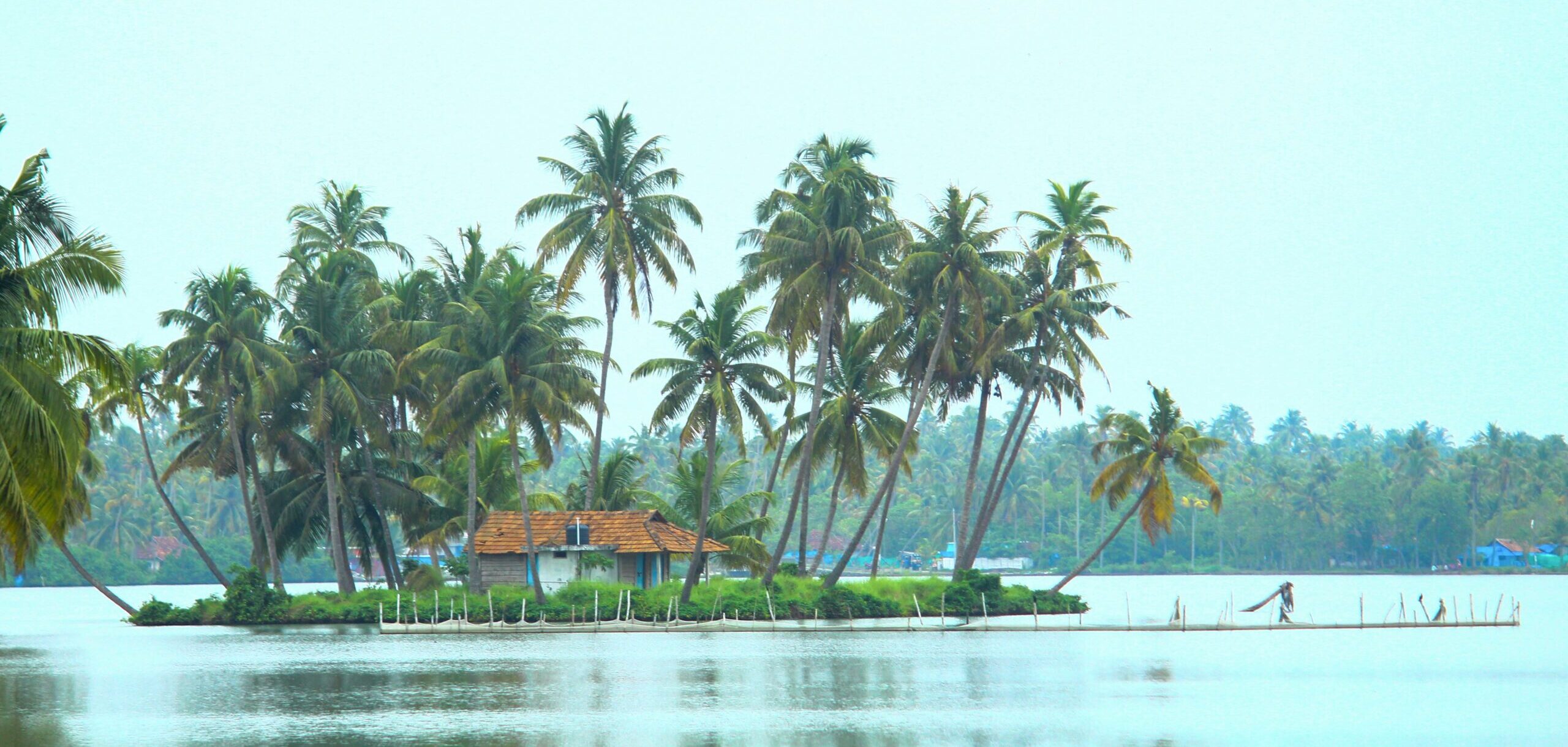 Kochi Chinese fishing nets Fort Kochi