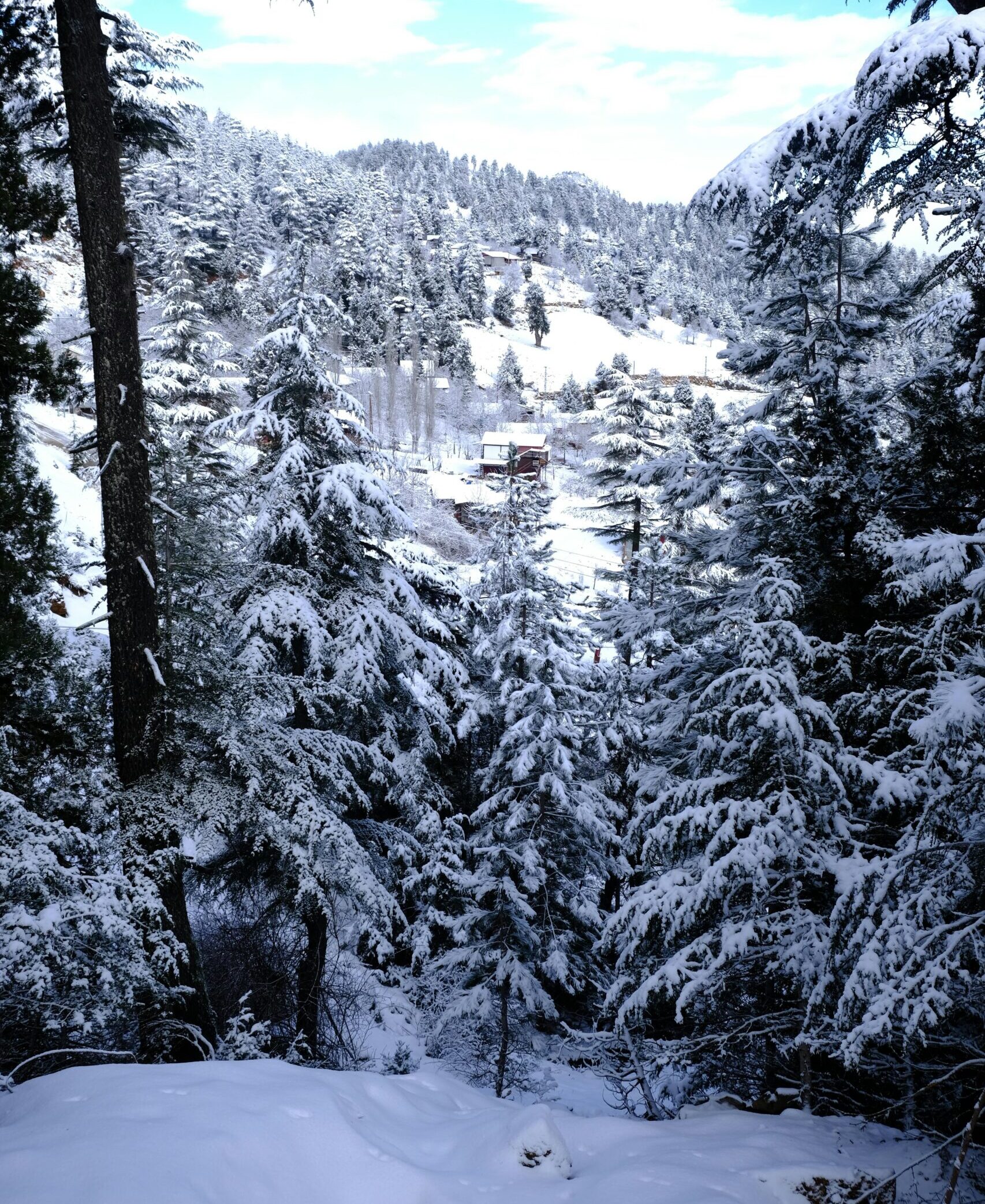 Kufri snow Himachal Pradesh