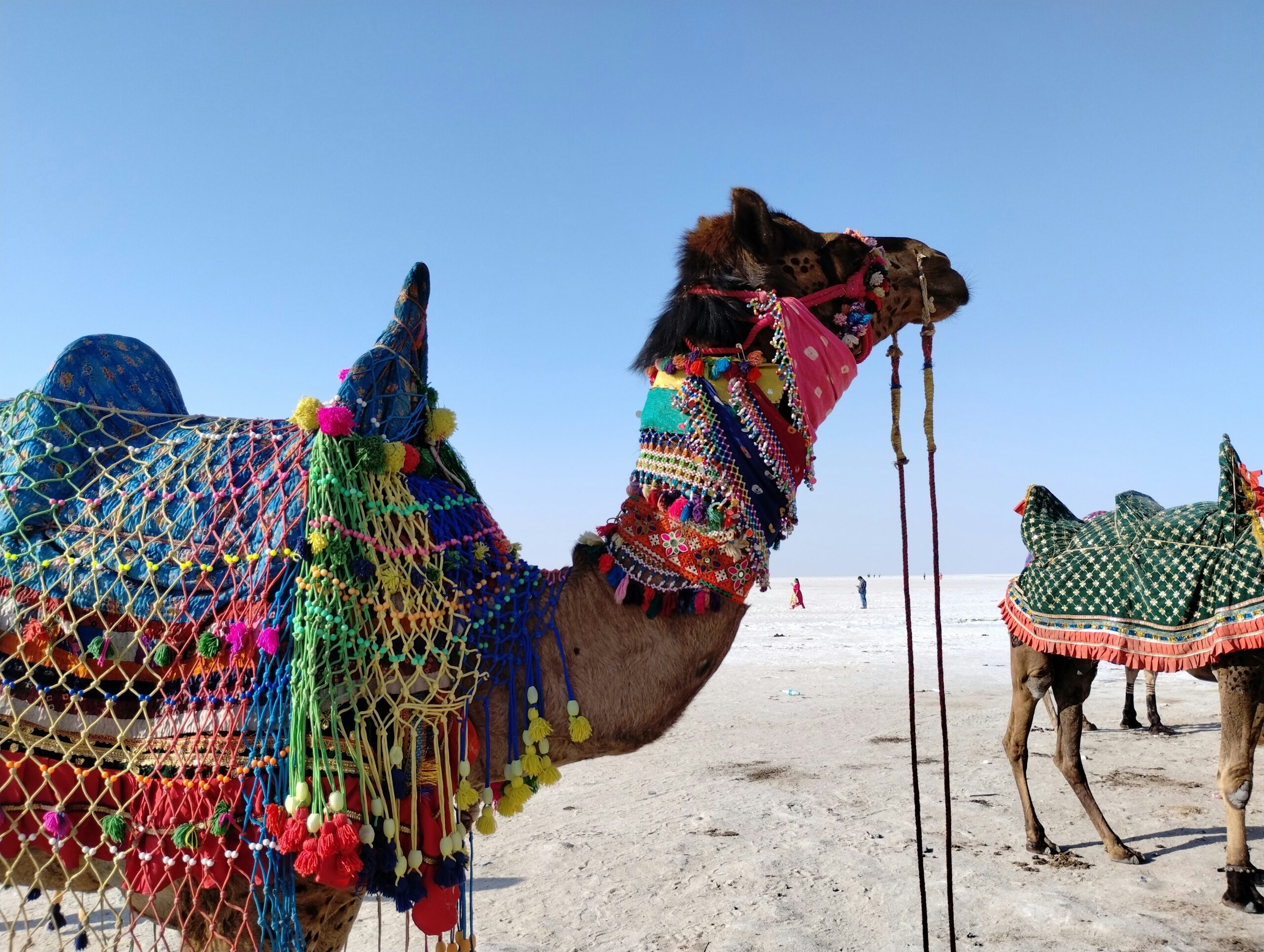 Rann of Kutch white desert