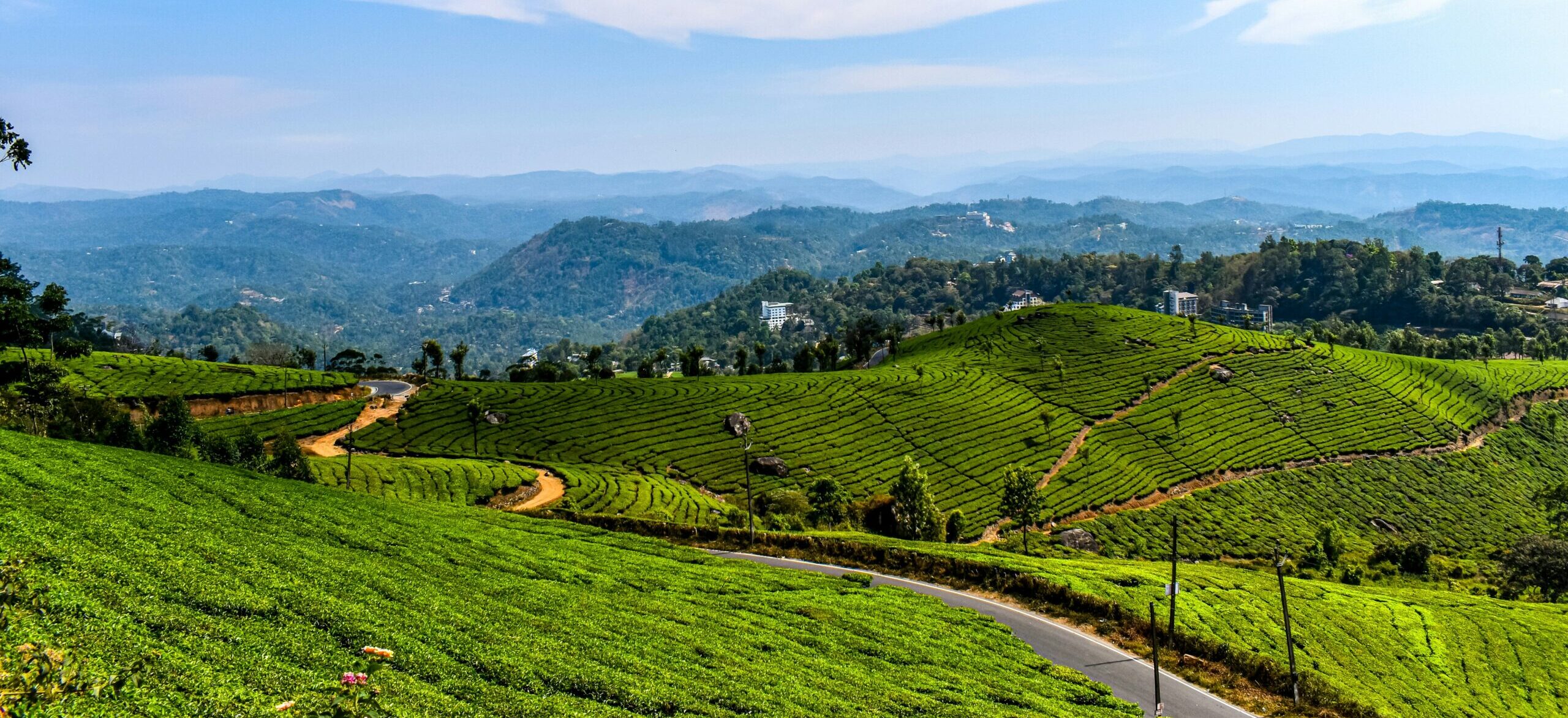 Munnar tea gardens misty hills